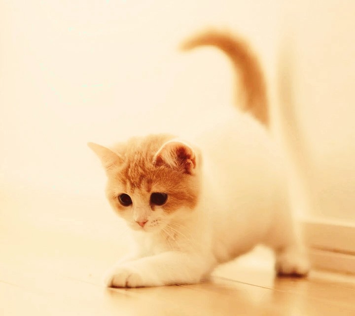 cuty?
