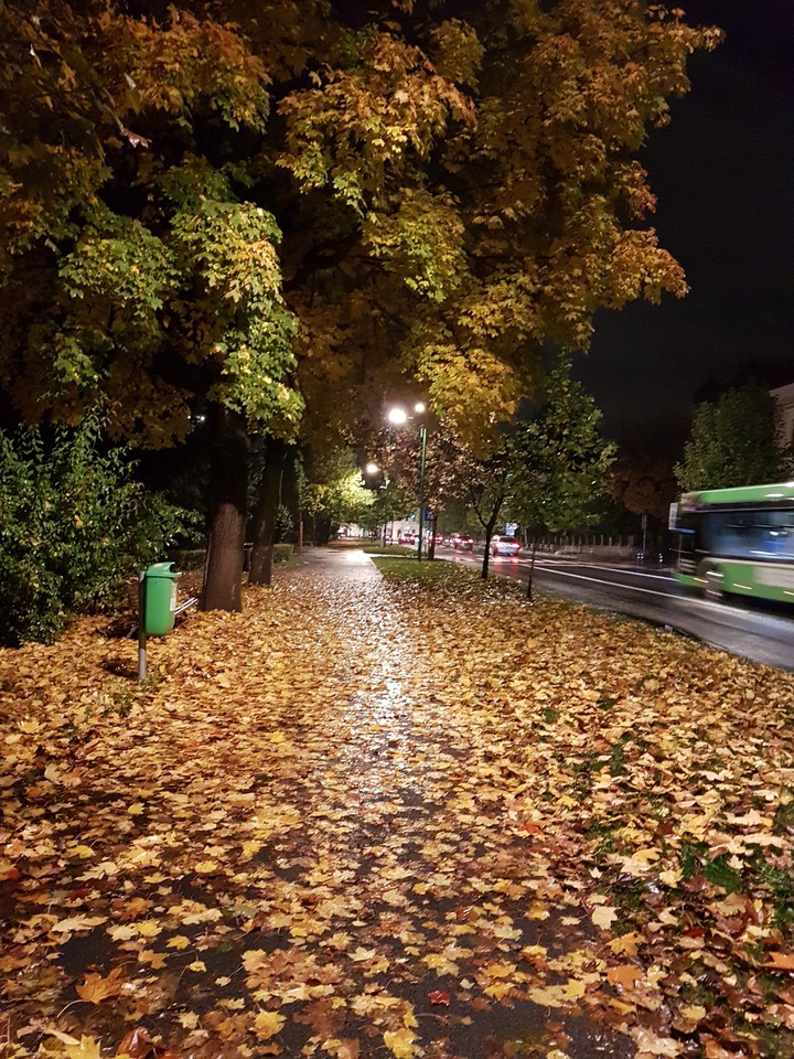 Passeggiata di sera.