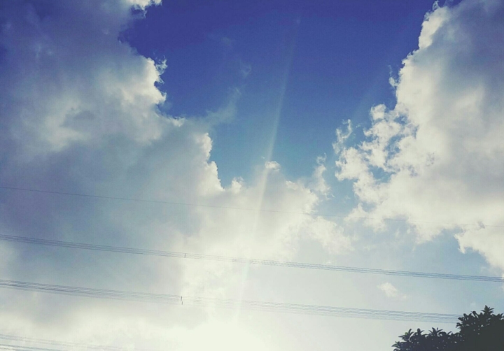 morning