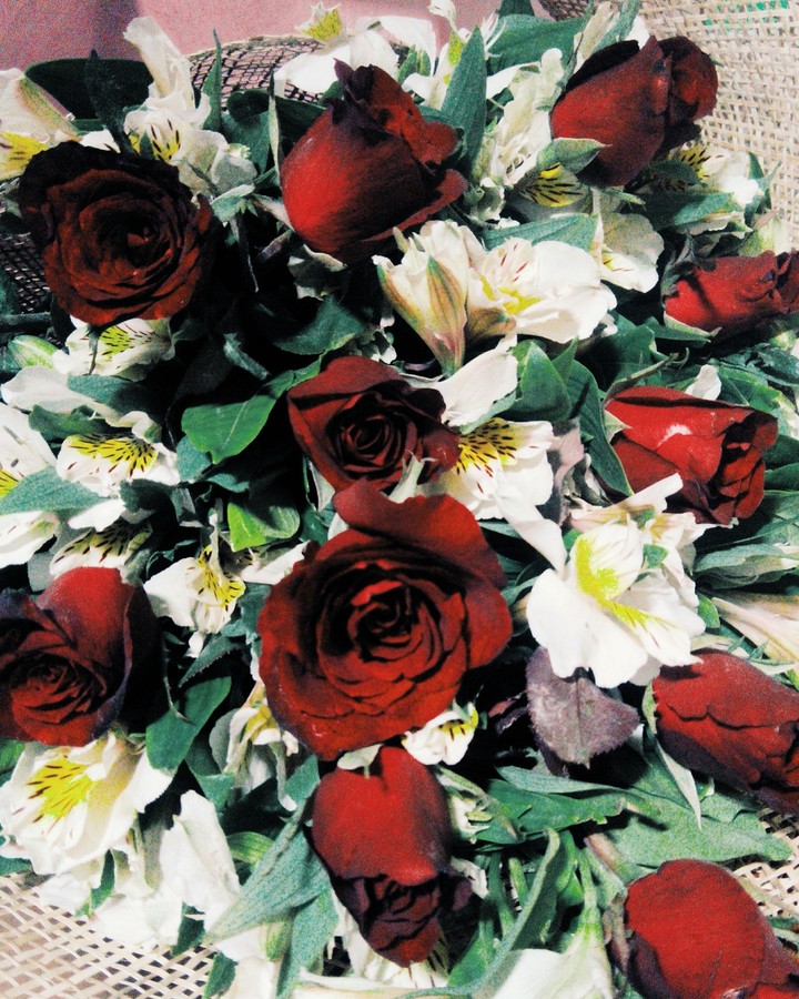 red roses