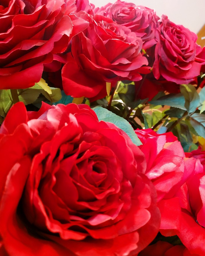 Más Rosas Rojas