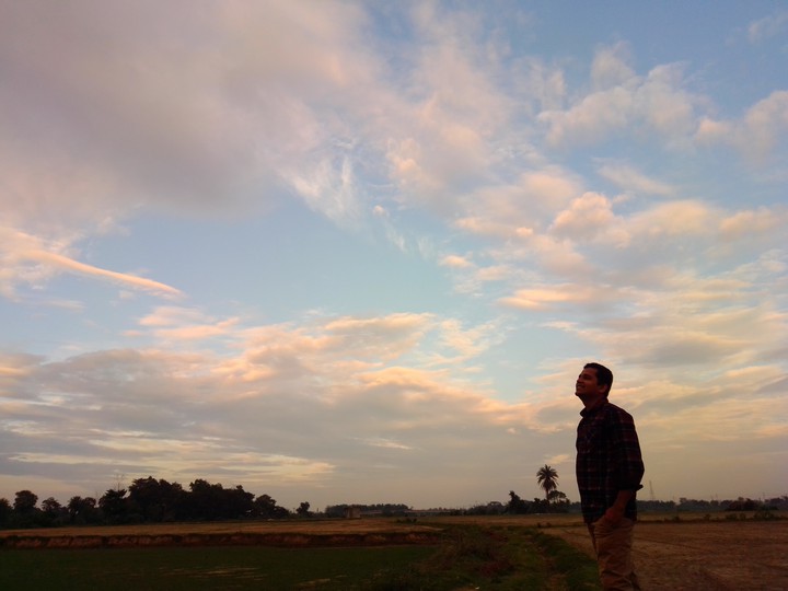 nature,twilight,