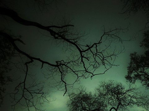 Brume