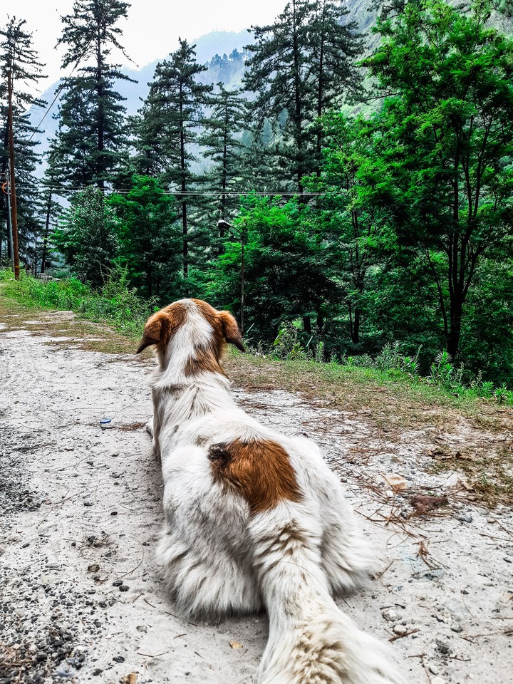 lost