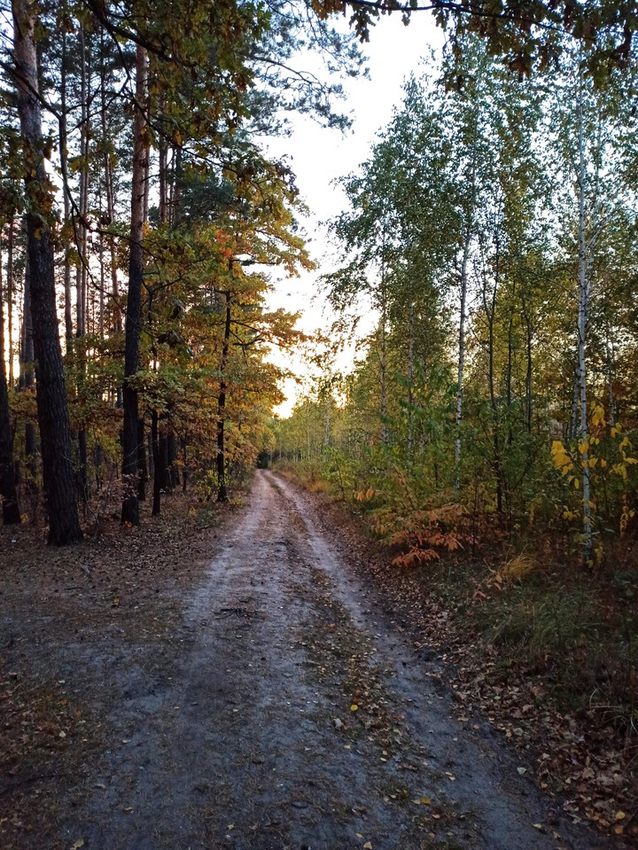 October