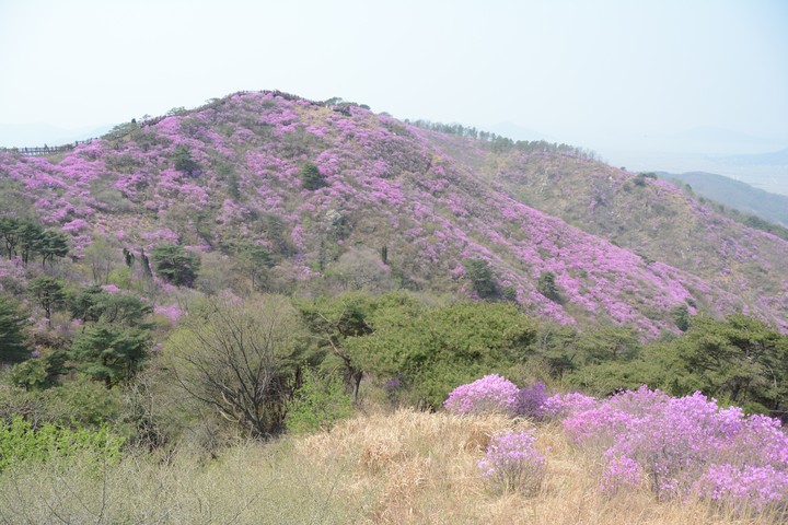 풍경이미지