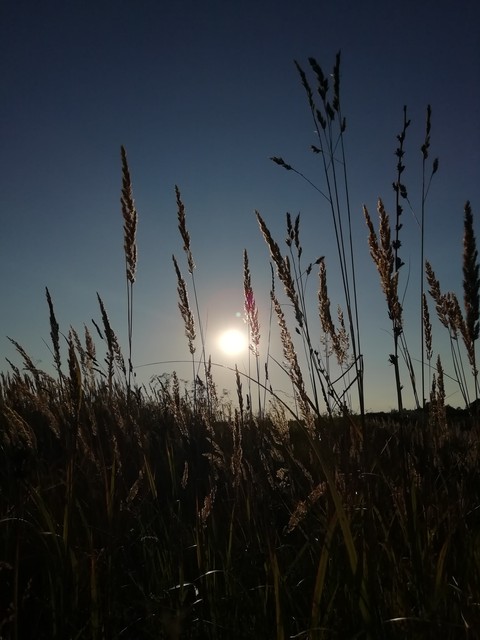 summer