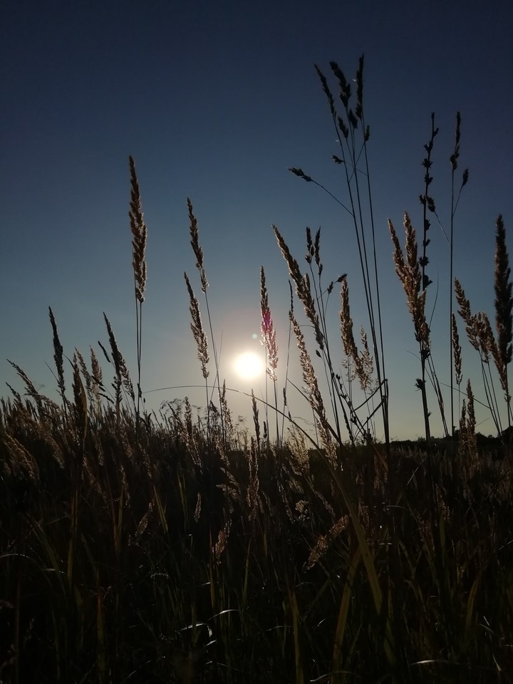 summer