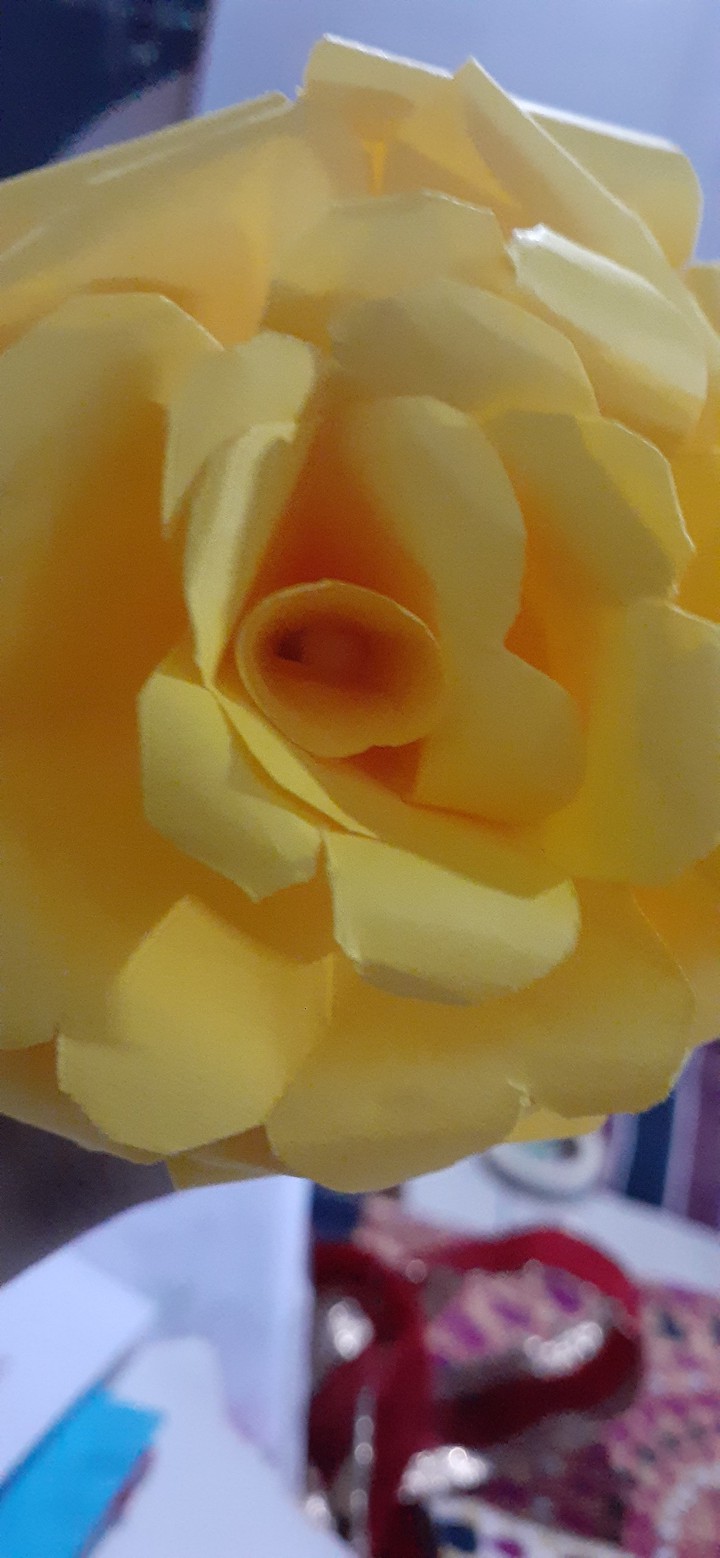 rose