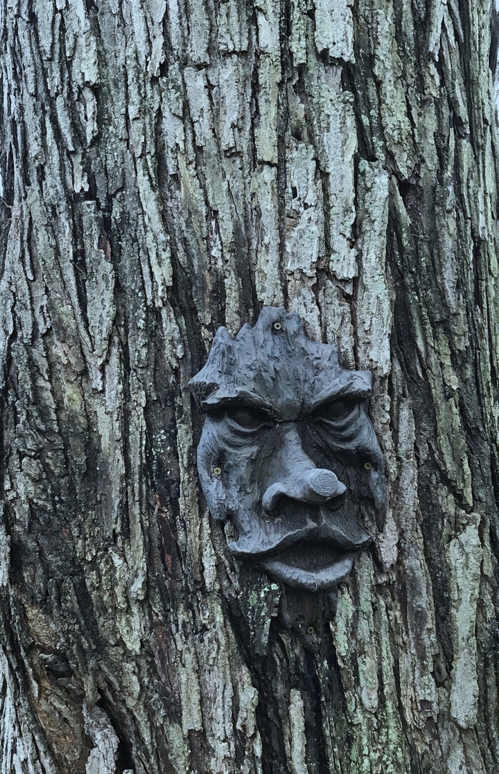 face