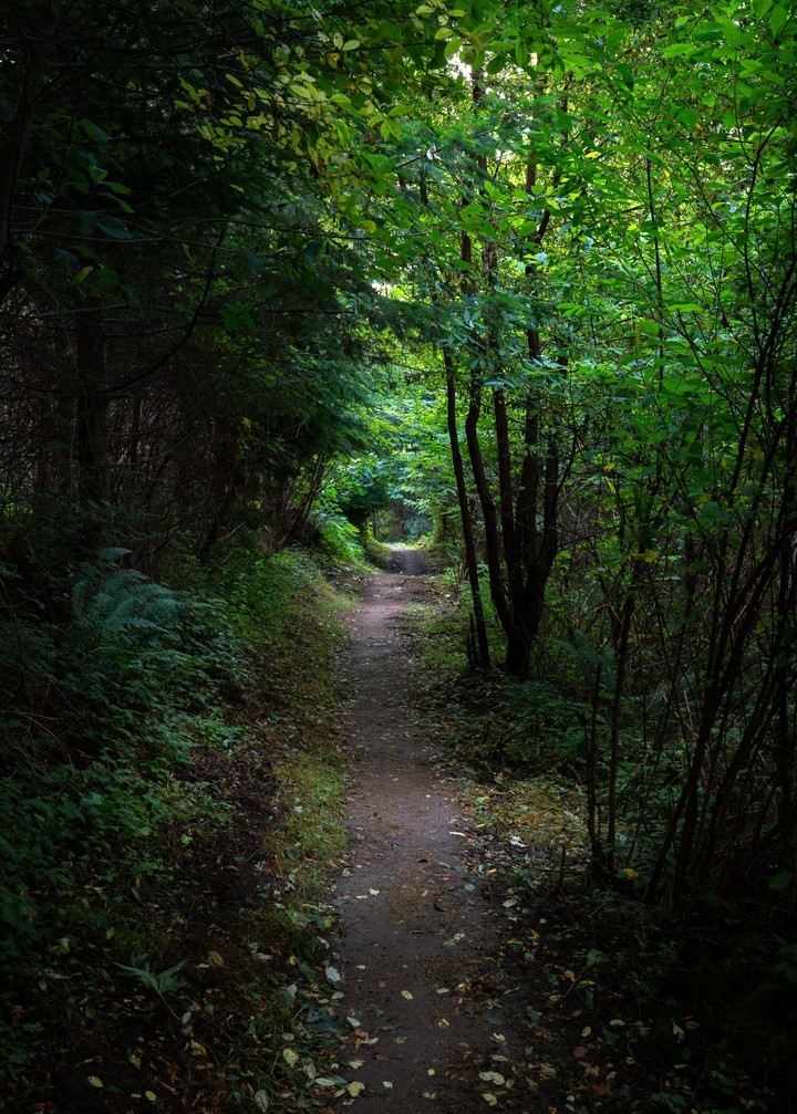 Pathway