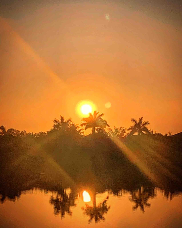 Sunset over the Palms