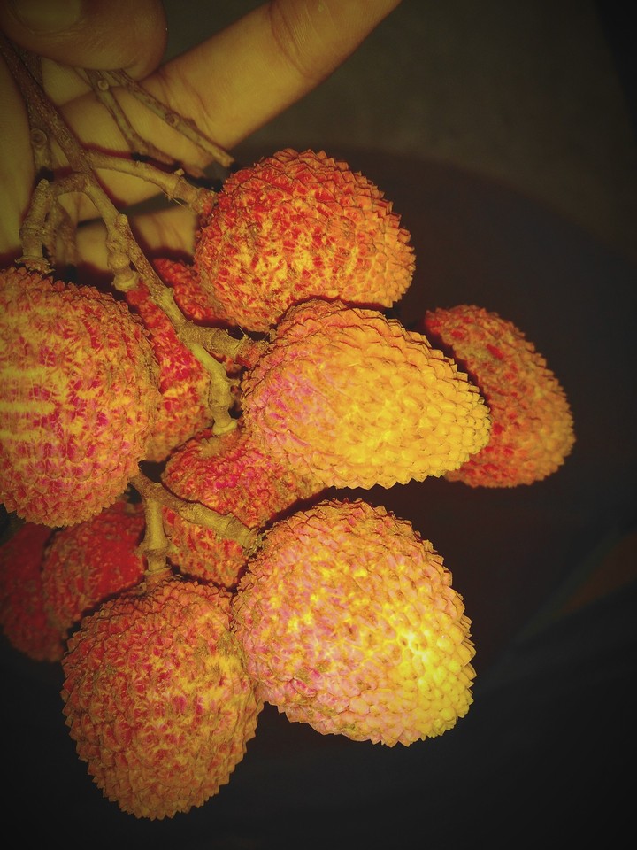 lichi