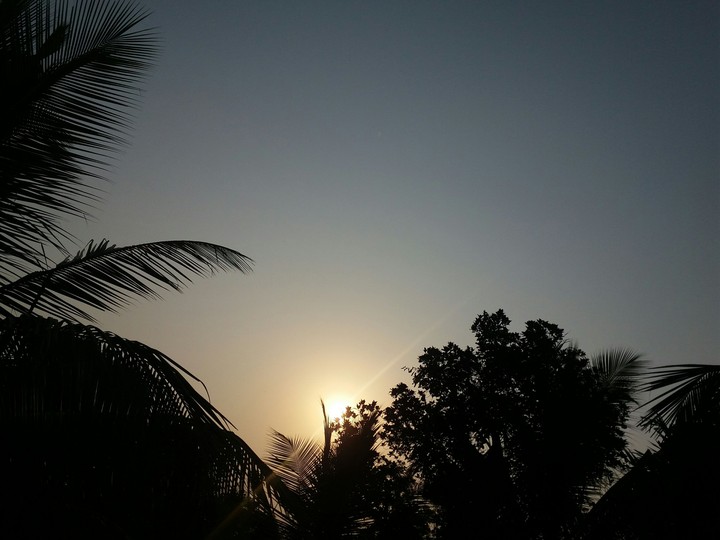 Sunrise View