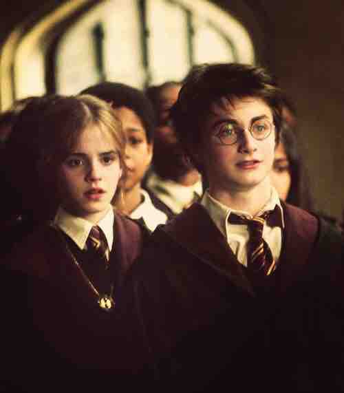 ❤️Harry and Hermione