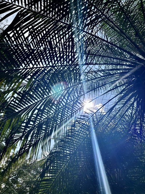 sfondi blue, sunlight
