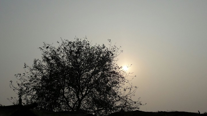 light always  find its way