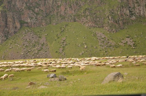#kazbegi #georgia #sakartvelo