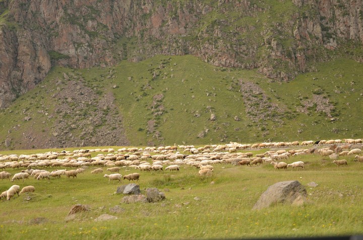 #kazbegi #georgia #sakartvelo