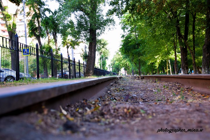 Bar rail train at Russia