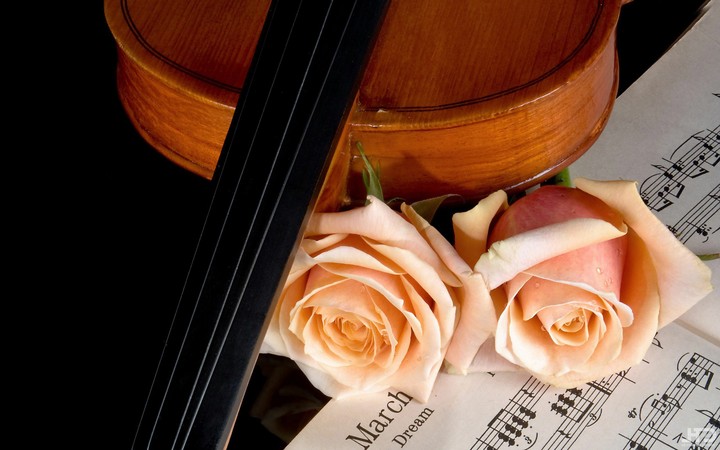 A gentle melody of my heart for you