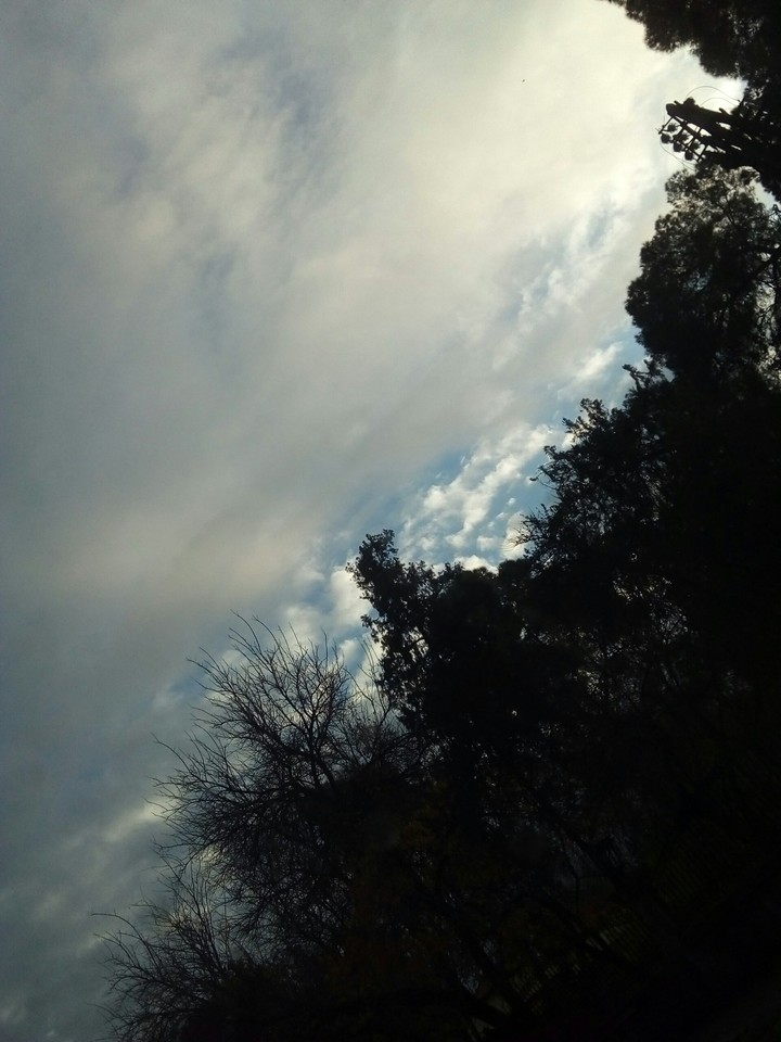 the sky