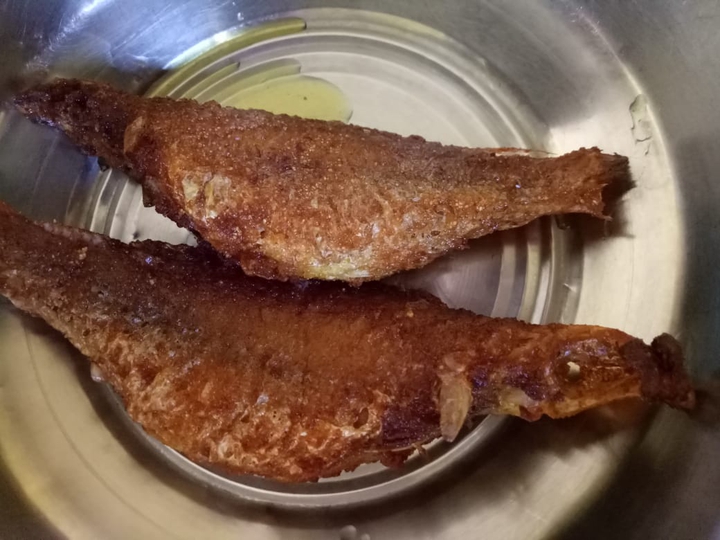 Fish