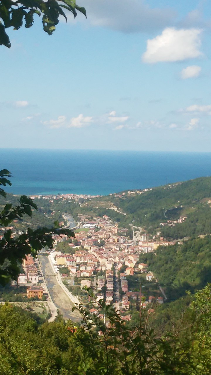 kastamonu Bozkurt