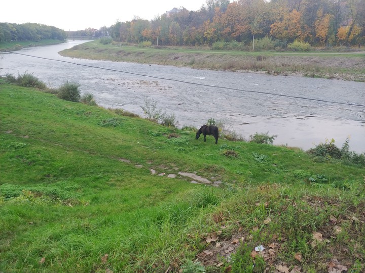 river