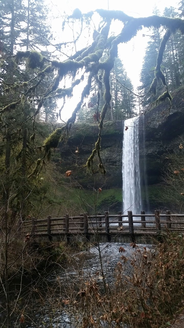 Silver Falls OR