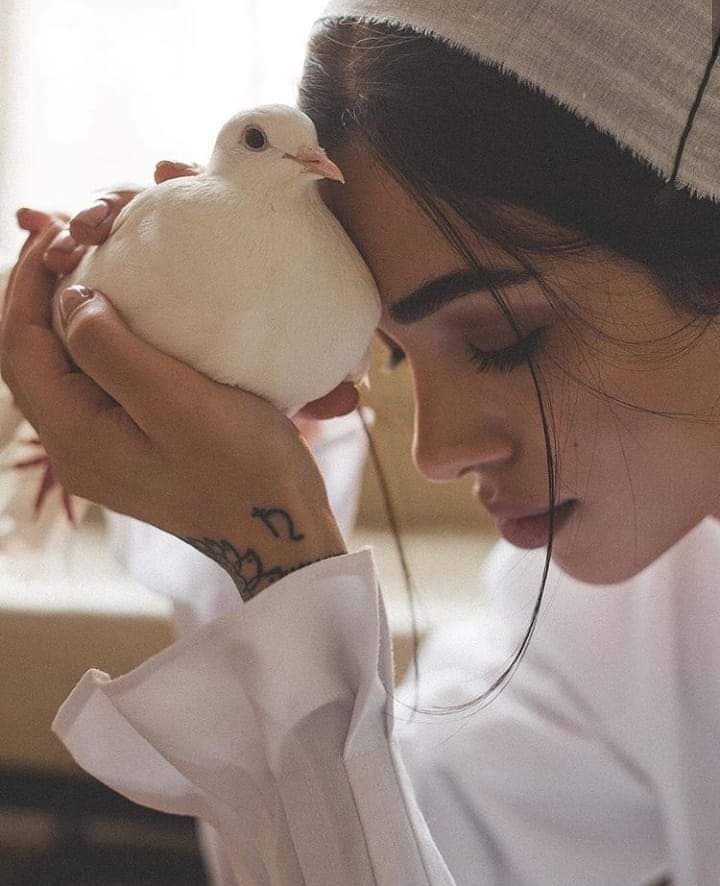 DZ