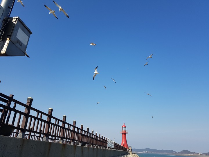 대한민국/인천/대부도