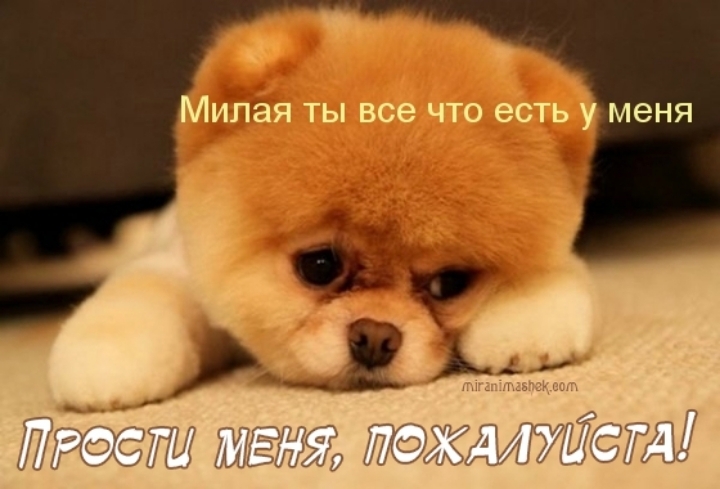 ррпрррор