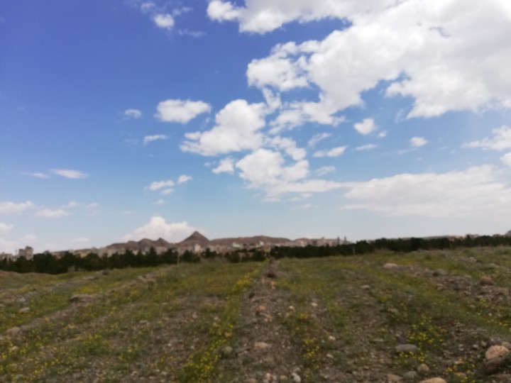 زیبای مات
