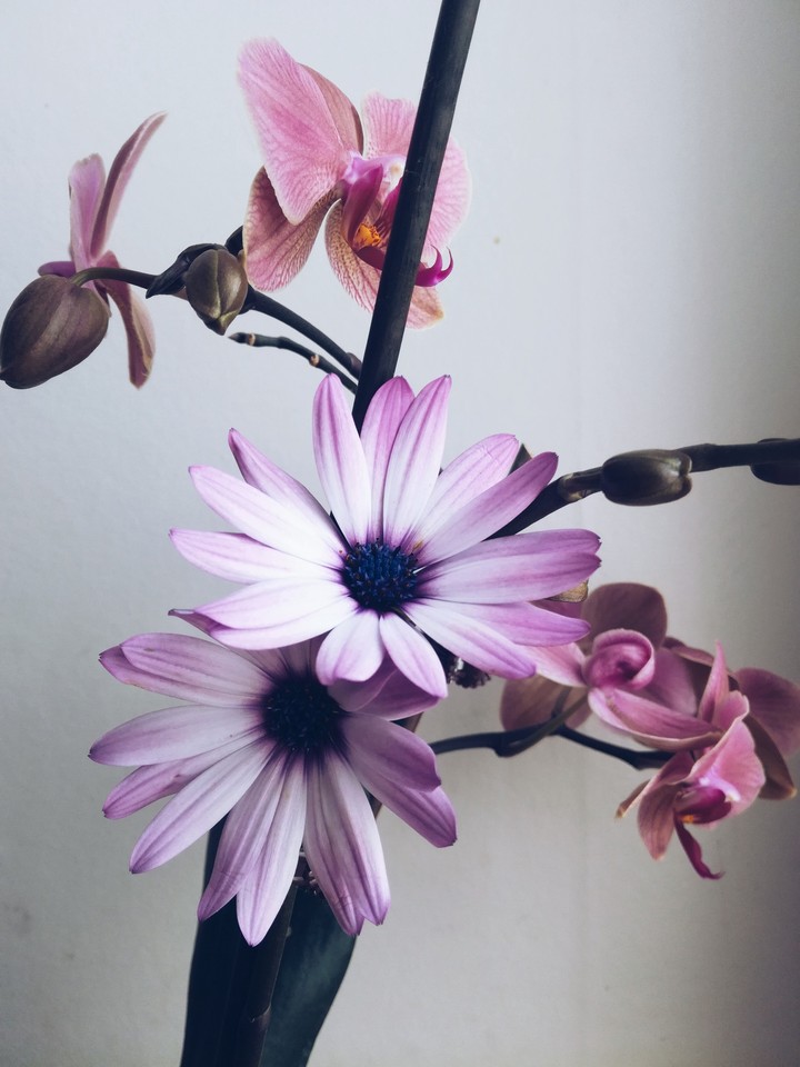 beautiful