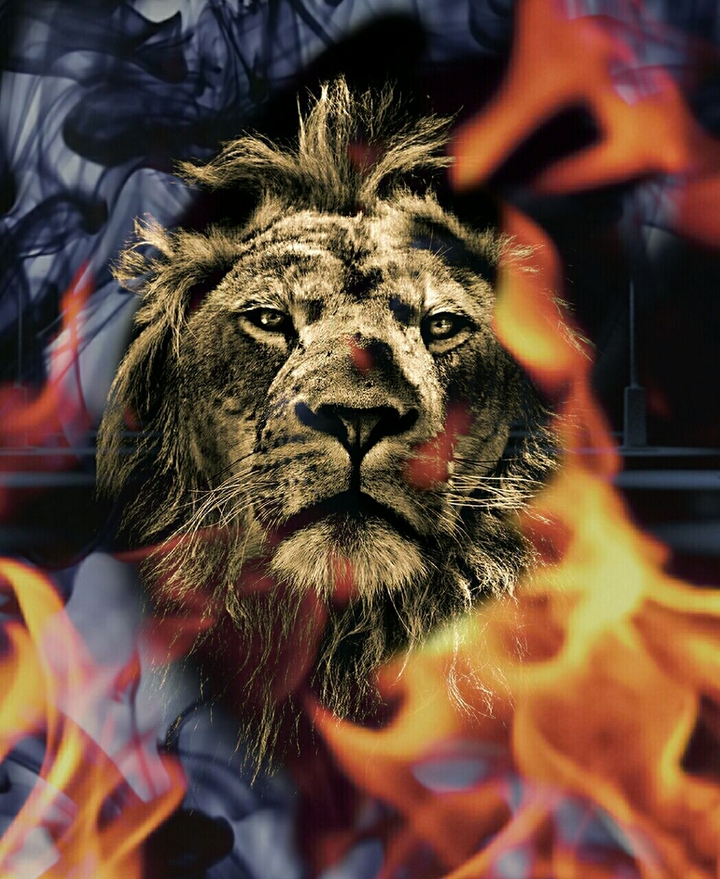 King of jungle