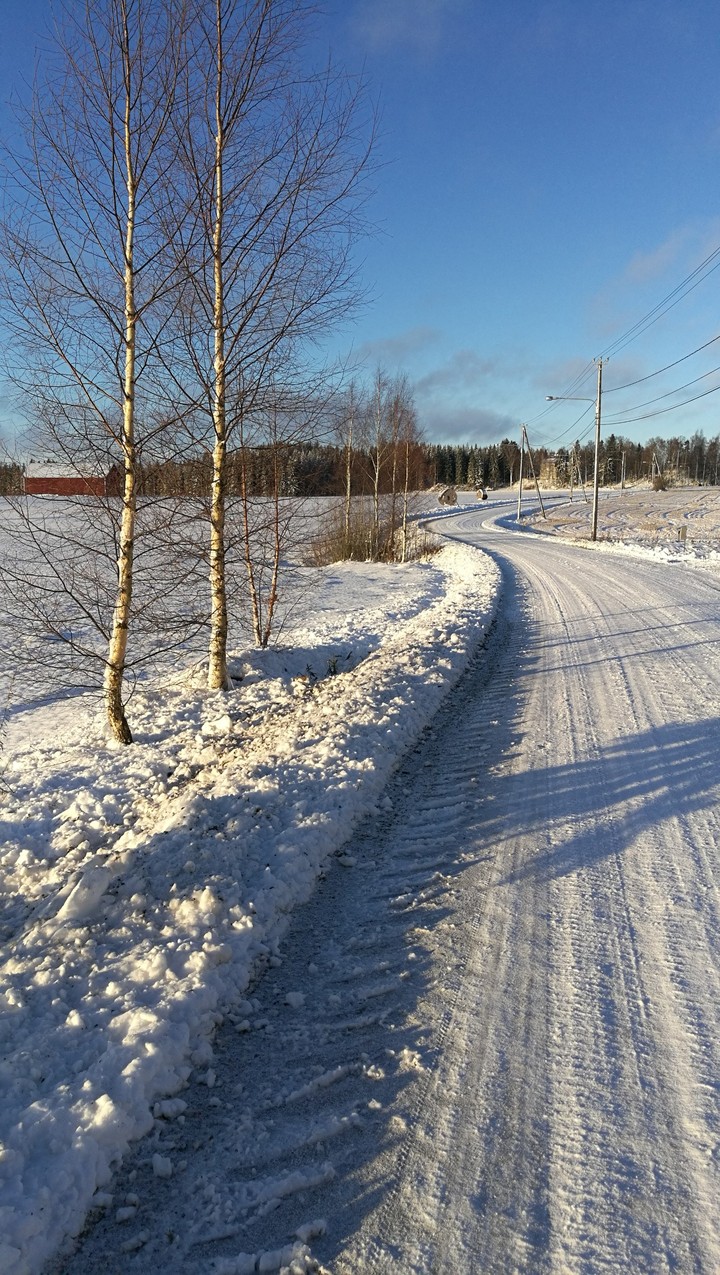 Sunny Winter Scene