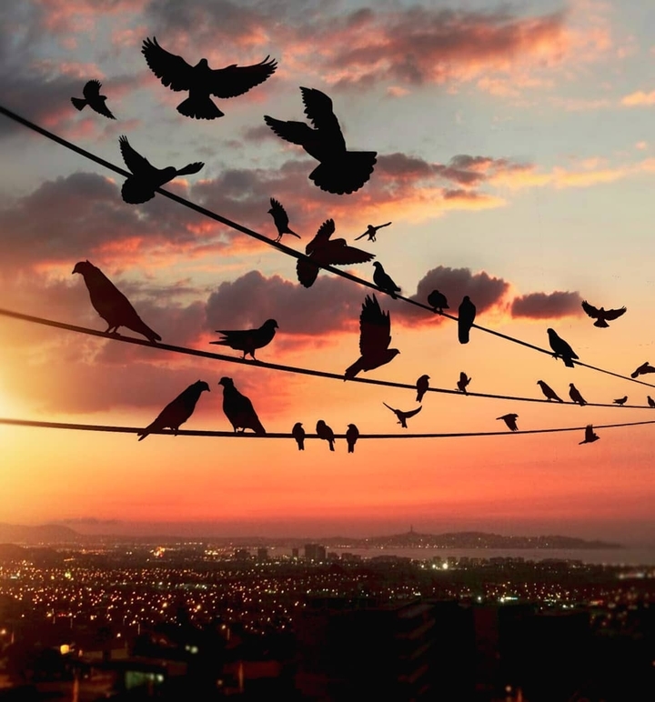 Evening sky