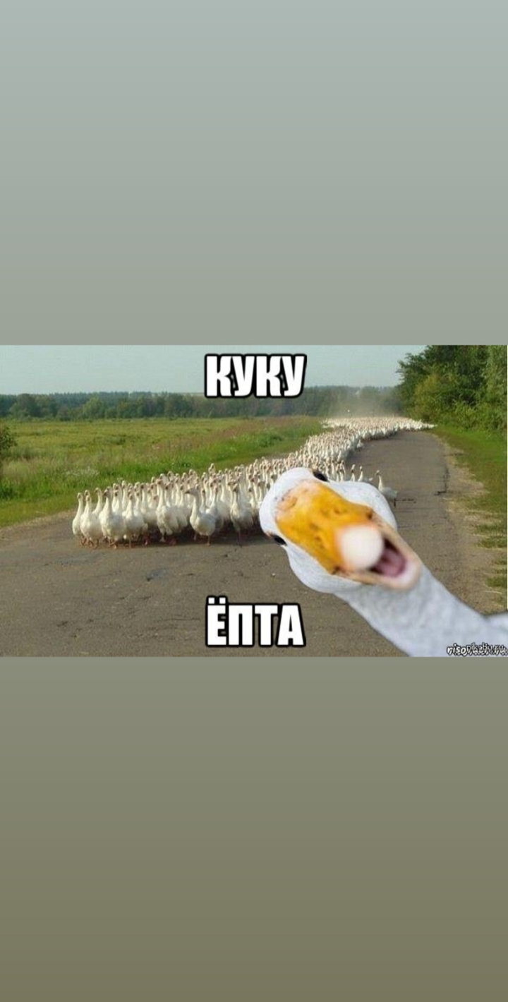 @???