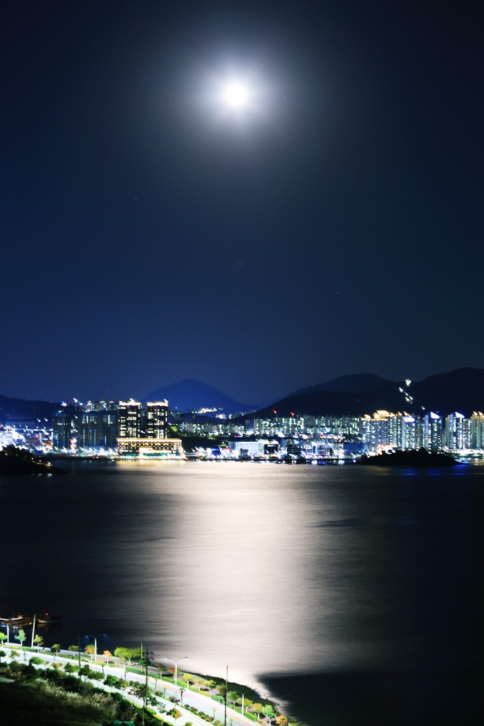 달빛(Moonlight)