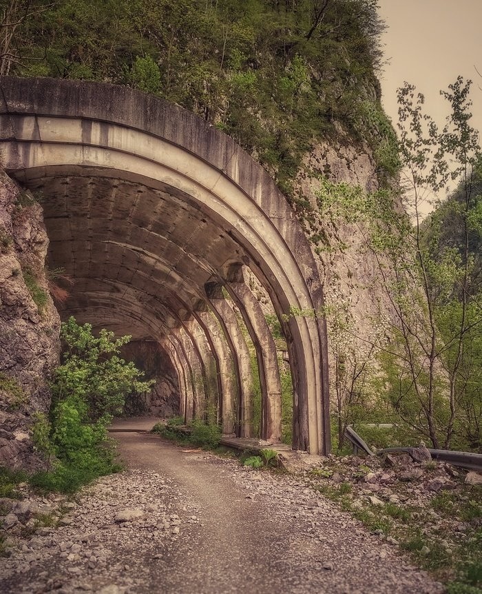 С вас подписка
