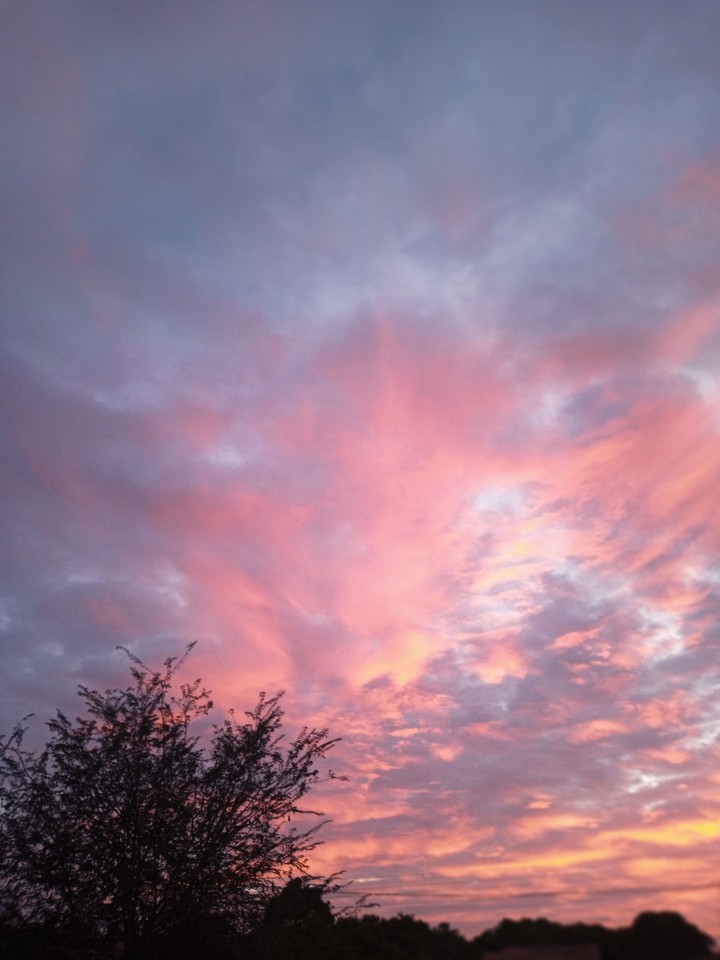 Pink Sky