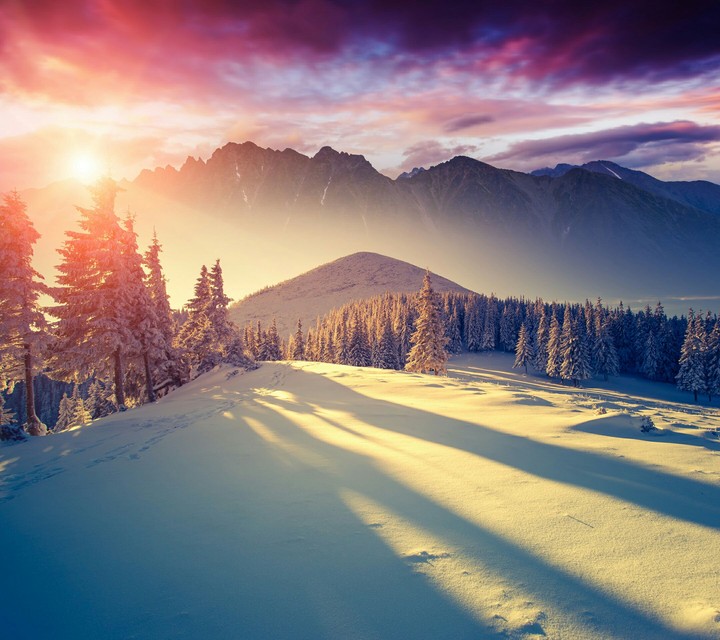 Nature