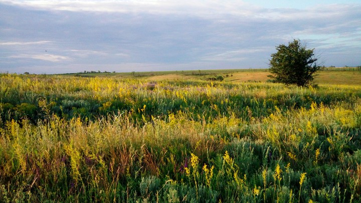 Landscape