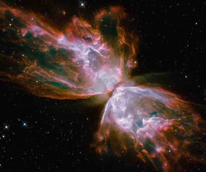 Galaxy butterfly ✨