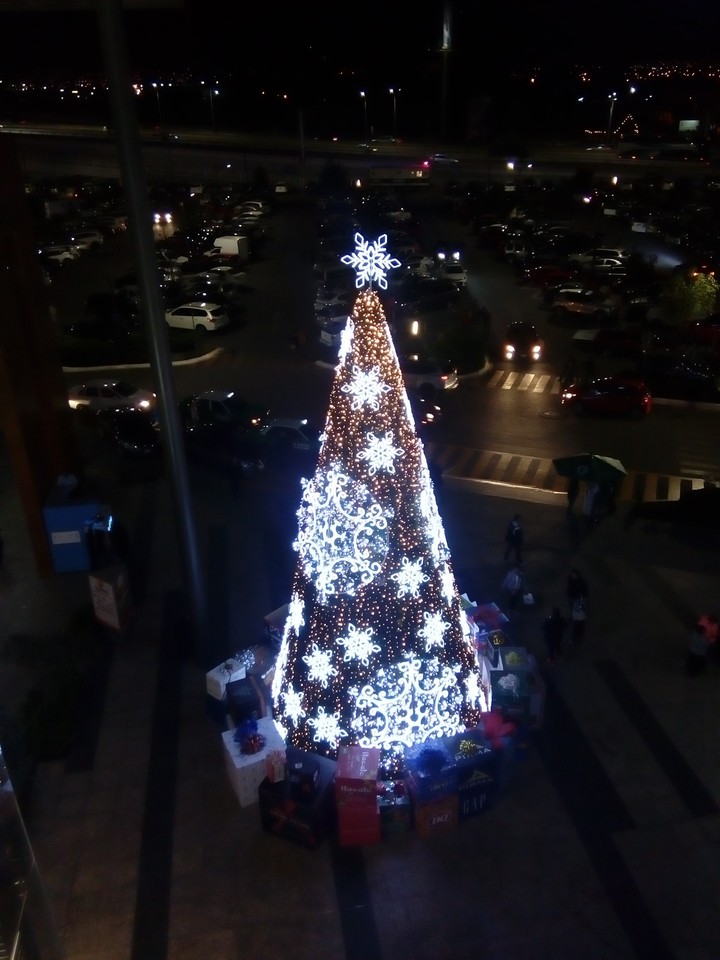 Christmas tree, León, Guanajuato, México