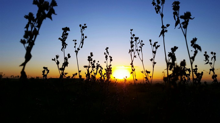 sunrise