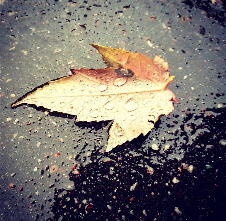 Autumn
