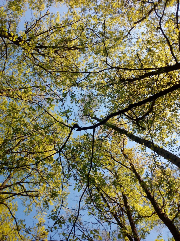 Black and white - Green and blue