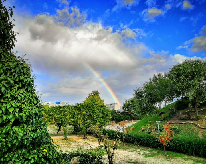 Rainbow